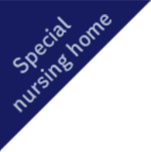 Special nursing home