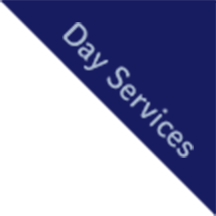 Day Services